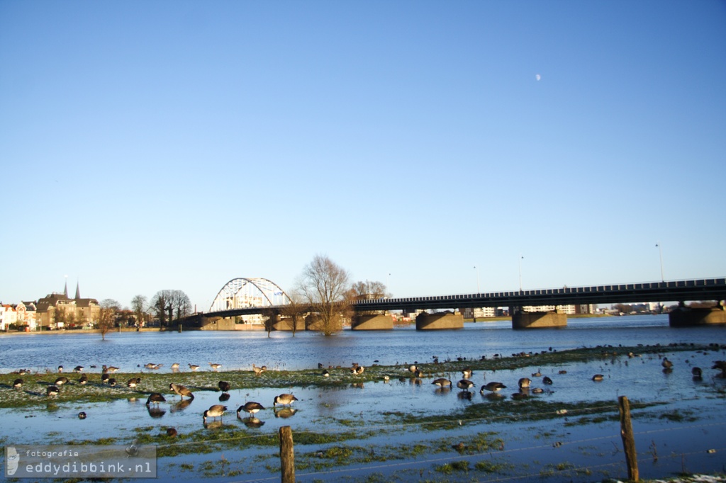 2010-12-15 Zicht op Deventer bij hoog water 007